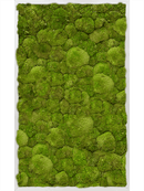 Tableau Aluminium 100% Mousse boule