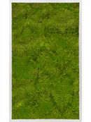 Tableau Aluminium 100% Mousse plate