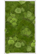 Tableau Aluminium 30% Mousse boule- et 70% Mousse plate