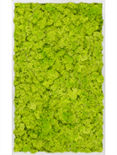 Tableau Aluminium 100% Lichen Vert Printemps