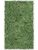 Tableau Aluminium 100% Lichen (Vert mousse)