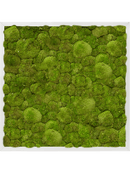 Tableau Aluminium 100% Mousse boule