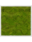 Tableau Aluminium 100% Mousse plate