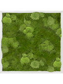 Tableau Aluminium 30% Mousse boule- et 70% Mousse plate