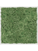 Tableau Aluminium 100% Lichen (Vert mousse)