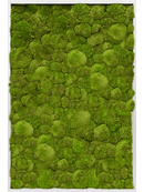 Tableau Aluminium 100% Mousse boule