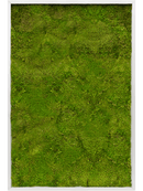 Tableau Aluminium 100% Mousse plate