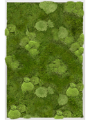 Tableau Aluminium 30% Mousse boule- et 70% Mousse plate