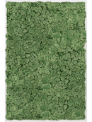 Tableau Aluminium 100% Lichen (Vert mousse)