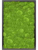 Tableau de mousse MDF Noir brillant