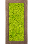 Tableau Polystone Rock 100% Lichen (Vert printemps)