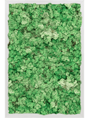 Tableau Aluminium 100% Lichen (Herbe Verte)