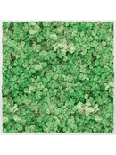 Tableau Aluminium 100% Lichen (Herbe Verte)