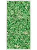 Tableau Aluminium 100% Lichen (Herbe Verte)