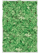 Tableau Aluminium 100% Lichen (Herbe Verte)