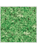 Tableau Aluminium 100% Lichen (Herbe Verte)