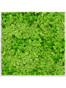 Tableau Aluminium 100% Lichen (Herbe Verte Clair)