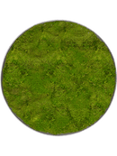 Tableau Nova Frame Natural-concrete 100% Mousse Plate