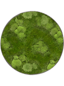 Tableau Nova Frame Natural-concrete 30% Mousse boule- et 70% mousse plate