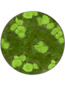 Tableau De Mousse Nova Frame Natural-concrete