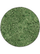 Tableau Nova Frame Natural-concrete 100% Lichen (Vert mousse)