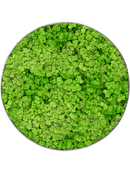 Tableau Nova Frame Natural-concrete 100% Lichen (Herbe Verte Clair)