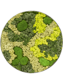 Tableau De Mousse Nova Frame Natural-concrete