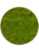 Tableau Nova Frame Antique White-concrete 100% Mousse Plate