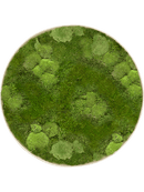 Tableau Nova Frame Antique White-concrete 30% Mousse boule- et 70% mousse plate