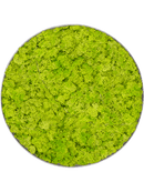 Tableau Nova Frame Natural-concrete 100% Lichen (Vert printemps)