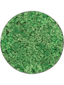 Tableau Nova Frame Natural-concrete 100% Lichen (Herbe Verte)