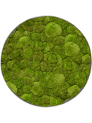 Tableau Nova Frame Natural-concrete 100% Mousse Boule