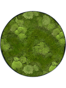 Tableau Nova Frame Anthracite-concrete 30% Mousse boule- et 70% mousse plate