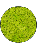 Tableau Nova Frame Anthracite-concrete 100% Lichen (Vert printemps)