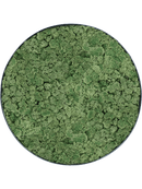 Tableau Nova Frame Anthracite-concrete 100% Lichen (Vert mousse)