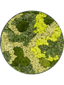 Tableau Nova Frame Anthracite-concrete 30% Mousse boule 70% Lichen (Mix)