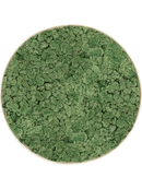 Tableau Nova Frame Antique White-concrete 100% Lichen (Vert mousse)