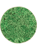 Tableau Nova Frame Antique White-concrete 100% Lichen (Herbe Verte)