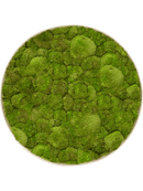 Tableau Nova Frame Antique White-concrete 100% Mousse Boule