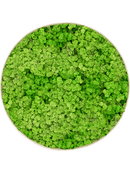 Tableau Nova Frame Antique White-concrete 100% Lichen (Herbe Verte Clair)