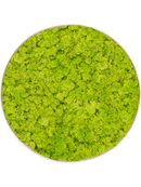 Tableau Nova Frame Antique White-concrete 100% Lichen (Vert printemps)