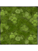 Tableau Nova Frame Anthracite-concrete 30% Mousse boule- et 70% mousse plate