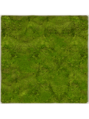 Tableau Nova Frame Antique White-concrete 100% Mousse Plate