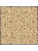 Tableau Nova Frame Anthracite-concrete 100% Lichen (Naturelle)