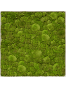 Tableau Nova Frame Antique White-concrete 100% Mousse Boule