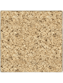 Tableau Nova Frame Antique White-concrete 100% Lichen (Naturelle)