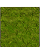 Tableau Nova Frame Natural-concrete 100% Mousse Plate