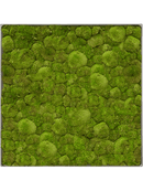 Tableau Nova Frame Natural-concrete 100% Mousse Boule