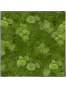 Tableau Nova Frame Natural-concrete 30% Mousse boule- et 70% mousse plate