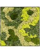 Tableau Nova Frame Natural-concrete 30% Mousse boule 70% Lichen (Mix)